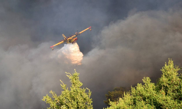 Σε εξέλιξη η μεγάλη φωτιά στην Αλεξανδρούπολη - Τραυματίστηκε πυροσβέστης στην Κάρυστο