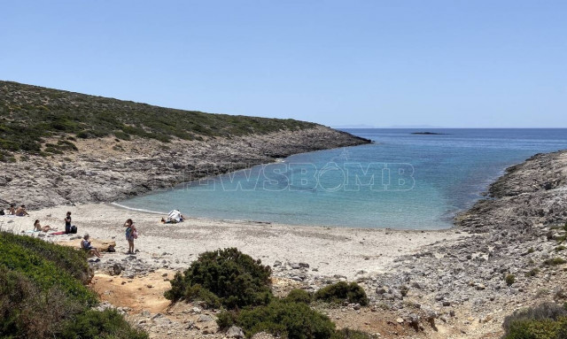 Μωβ μέδουσες, λαγοκέφαλοι και άλλες «απειλές» στις ελληνικές θάλασσες