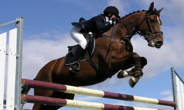 ΤΑΙΠΕΔ: Ξεκίνησε ο διαγωνισμός για το Ολυμπιακό Ιππικό Κέντρο στο Μαρκόπουλο