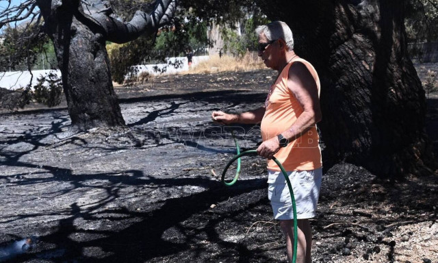 Φωτιά στη Λαυρεωτική: Μαρτυρία στο Newsbomb.gr - «Ξεκίνησε από σκουπίδια η πυρκαγιά»