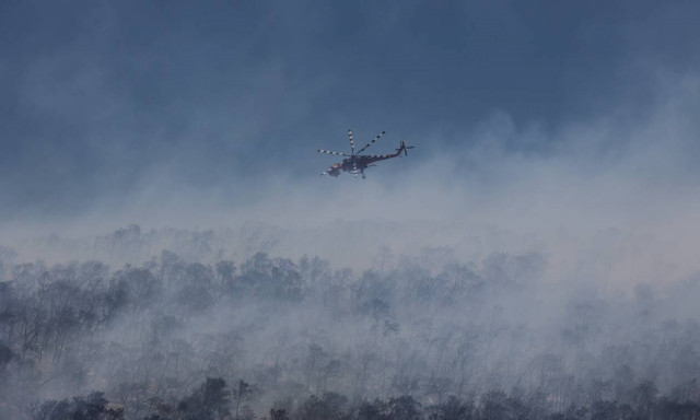 Ρέθυμνο: Υπό μερικό έλεγχο η φωτιά λέει στο Newsbomb o δήμαρχος Αγίου Βασιλείου, μεγάλη η καταστροφή