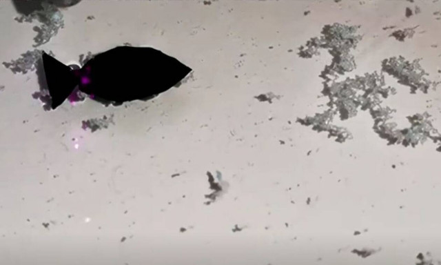 Κίνα: Κατασκεύασαν ρομποτικό ψάρι για να «τρώει» τα πλαστικά από τις θάλασσες