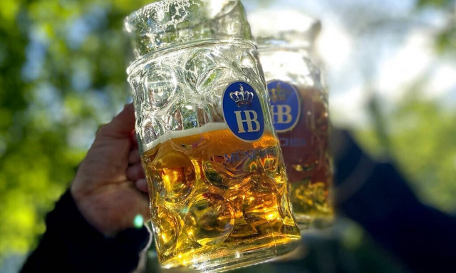 Μπυραρία στην Γερμανία πρωτοπορεί: Δέχεται πληρωμές με... ηλιέλαιο από τους πελάτες της