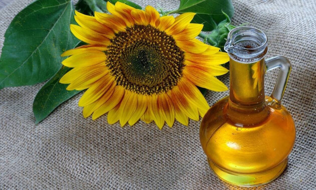 Ρωσία: Η Μόσχα αύξησε το πλαφόν στις εξαγωγές ηλιελαίου και αλεύρων από ηλιοτρόπια