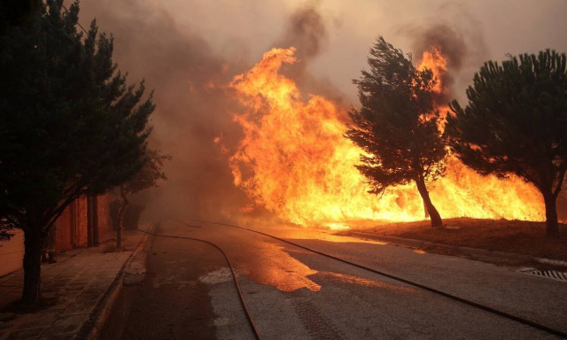 Φωτιά στην Πεντέλη: «Μην εγκαταλείπετε τα ζώα σας, κάθε ζωή έχει αξία»