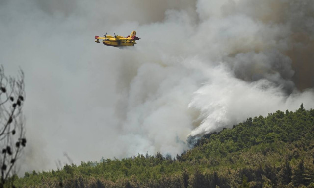 Firefighting forces reinforced at Megara wildfire