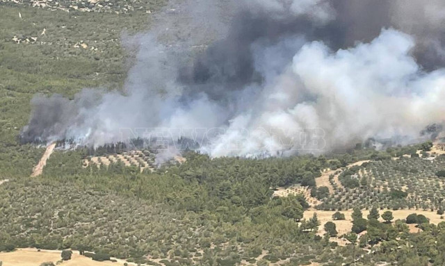 Fire in Penteli subsiding, civil protection says; new fire starts in Megara