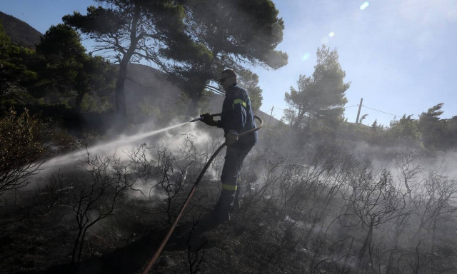Στυλιανίδης: «Αιχμές» για εμπρησμό στην Πεντέλη