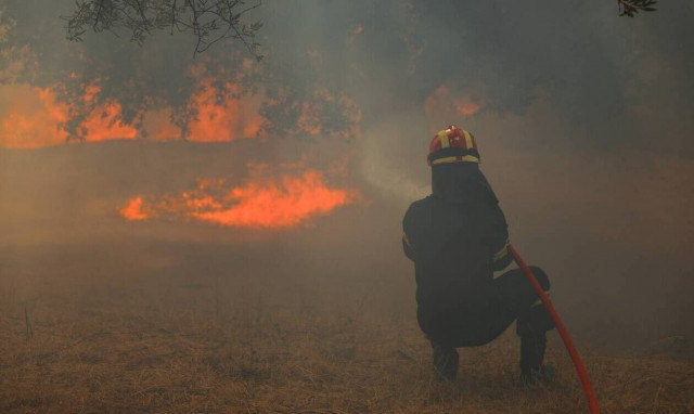 Φωτιά τώρα: Ενισχύθηκαν οι δυνάμεις στο Ρούτσι Αρκαδίας