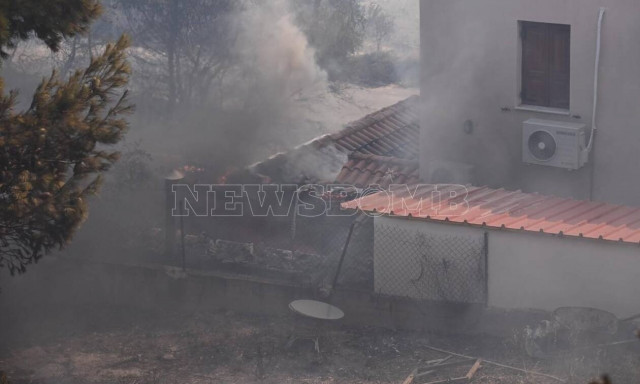 Φωτιά στην Παλλήνη: Συγκλονιστικό βίντεο – Γυναίκα λιποθύμησε όταν οι φλόγες πλησίασαν το σπίτι της