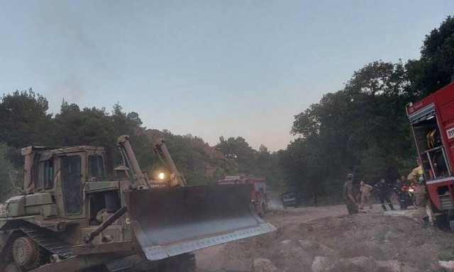 Φωτιά στον Έβρο: Πύρινο μέτωπο που ξεπερνά τα δύο χιλιόμετρα καίει το δάσος της Δαδιάς