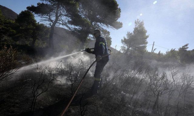Πυρκαγιές: Πολιτική βούληση και λαϊκή οργή