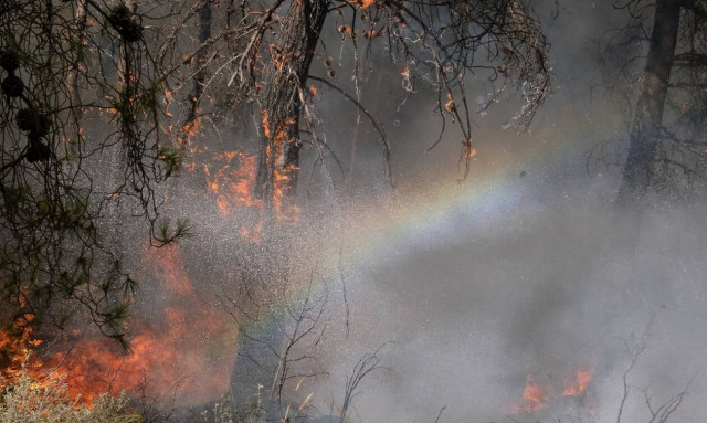 Φωτιά στην Ηλεία: Συνελήφθη κάτοικος των Αγνάντων για εμπρησμό