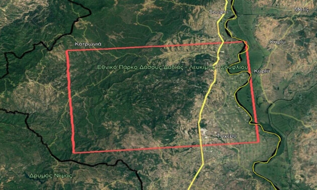 Φωτιά στον Έβρο: Ενεργοποιήθηκε η υπηρεσία Copernicus για το δάσος της Δαδιάς