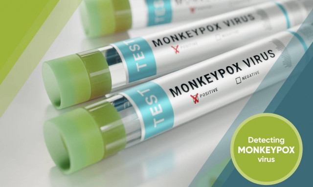 Ευλογιά των πιθήκων: Εγκρίθηκε εμβόλιο από τον ΕΜΑ