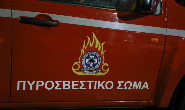 Φωτιά τώρα στη Μυτιλήνη: Πυρκαγιά σε χαμηλή βλάστηση στη Μόρια