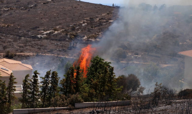 Φωτιά στην Ηλεία: Στα χέρια της ΕΛΑΣ ύποπτος για εμπρησμό στα Άγναντα