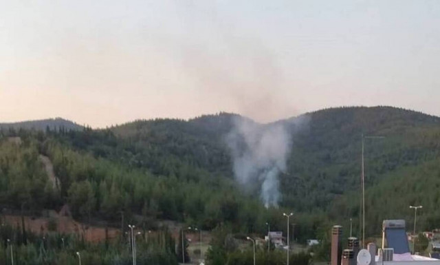 Συναγερμός στη Θεσσαλονίκη: Φωτιά στο Σέιχ Σου - Άμεση κινητοποίηση της Πυροσβεστικής