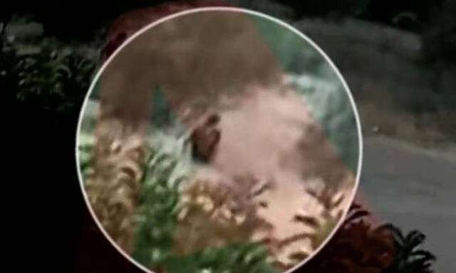 Φωτιά στην Πεντέλη: Το βίντεο - ντοκουμέντο που δείχνει τον εμπρηστή