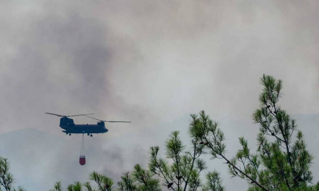 Thick smoke hampers efforts to extinguish fire at Dadia-Lefkimi-Soufli National Park