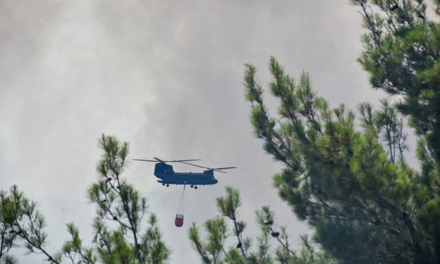 Δεύτερη εφιαλτική νύχτα στον Έβρο - Η πυρκαγιά αποτεφρώνει το δάσος της Δαδιάς