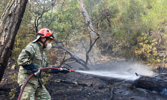Πυροσβεστική: Συνολικά 53 δασικές πυρκαγιές εκδηλώθηκαν το τελευταίο 24ωρο