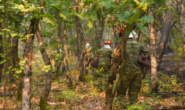Φωτιά: Tα στελέχη της Μονάδας Διαχείρισης των Προστατευόμενων Περιοχών Έβρου και Δαδιάς στα μέτωπα