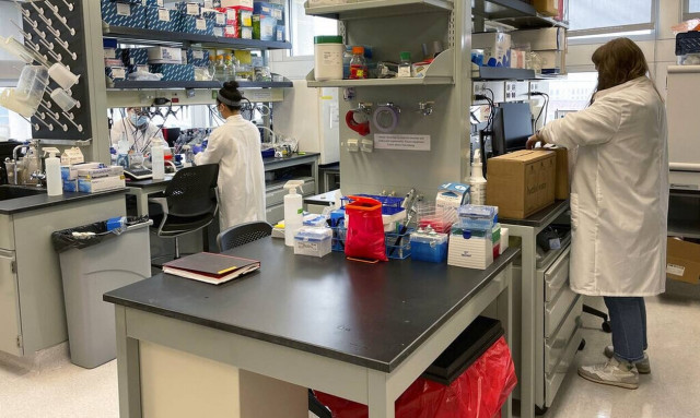 Λευκός Οίκος: Η επιδημία της ευλογιάς των πιθήκων μπορεί να εξαλειφθεί στις ΗΠΑ