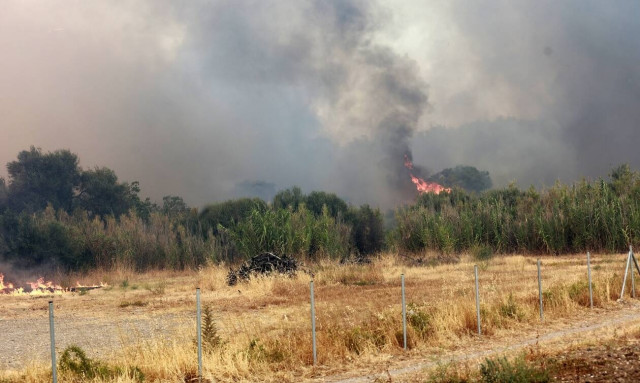 Φωτιά τώρα: Συνεχίζεται η μάχη στα Βατερά – Ενισχύσεις από την Αθήνα