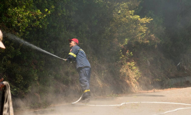 Φωτιά τώρα στο Στεφάνι Κορινθίας