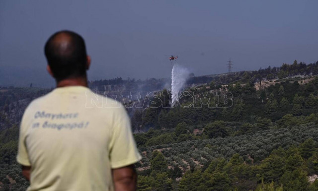 Φωτιά Ηλεία: Συνεχείς εναέριες ρίξεις για να μην περάσουν οι φλόγες τη Σμέρνα