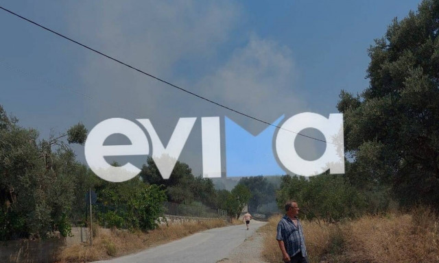 Φωτιά τώρα στο Αλιβέρι Ευβοίας (pic)