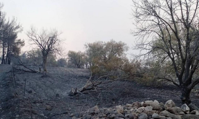Φωτιά στη Μυτιλήνη: Πάνω από 20.000 στρέμματα έγιναν στάχτη - Συνεχίζεται η μάχη με τις φλόγες