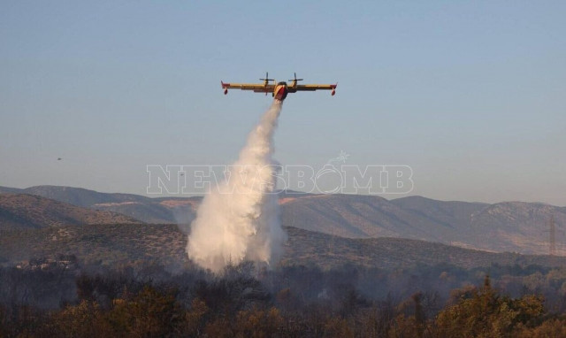 Mandra fire restricted to scattered fire pockets, says Fire Brigade