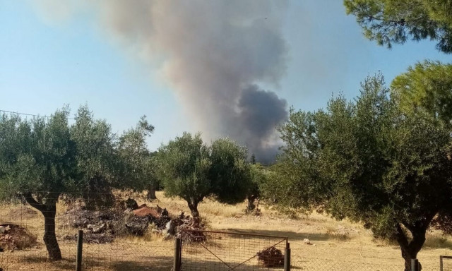 Φωτιά στη Μάνδρα: Ισχυρές δυνάμεις της Πυροσβεστικής στο σημείο - Επιχειρούν και καναντέρ