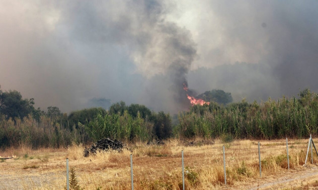 Φωτιές: 89 πυρκαγιές σε ένα 24ωρο - Νεότερη ενημέρωση για τα πύρινα μέτωπα σε Μάνδρα και Δαδιά