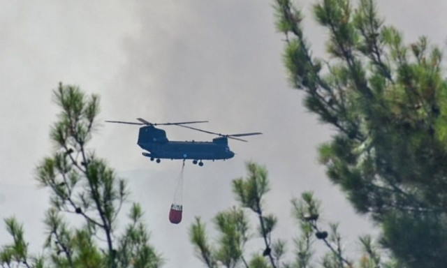 Συγκρατημένη αισιοδοξία για την πυρκαγιά στη Δαδιά