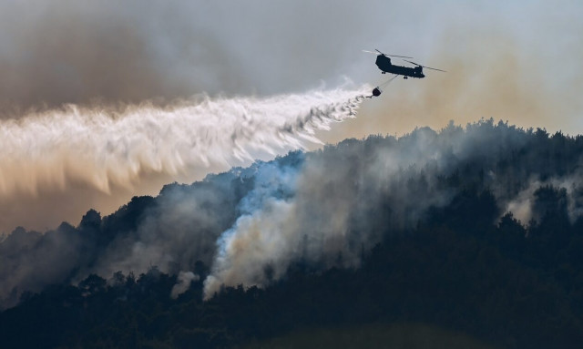 Φωτιά Έβρος: Μαίνεται για 7η μέρα - Το στοίχημα να οροθετηθεί μέχρι αύριο