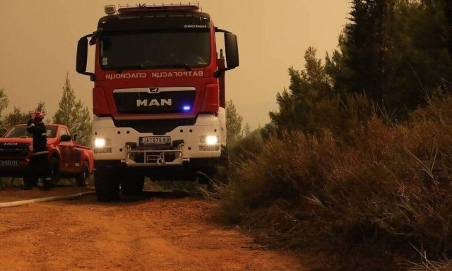 Νέα πύρινα μέτωπα στην Ελλάδα: Σε εξέλιξη φωτιές σε Νεμέα, Χαλκιδική και Άστρος