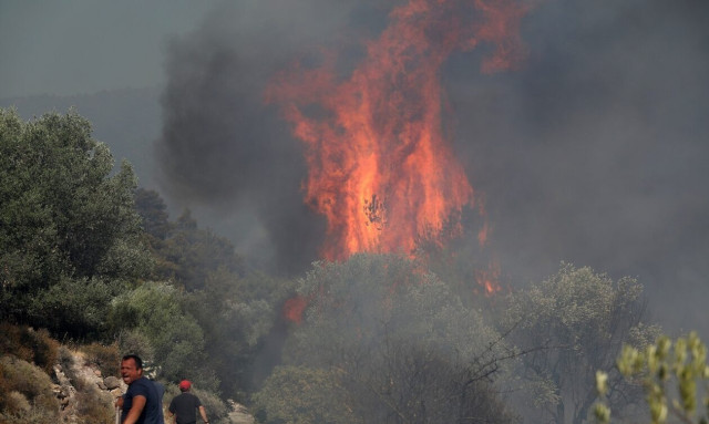 Picture of Dadia wildfire improved on Thursday