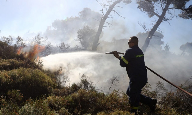 Φωτιά στον Έβρο: Προσήχθησαν 5 αλλοδαποί για εμπρησμό στα Λάβαρα Σουφλίου