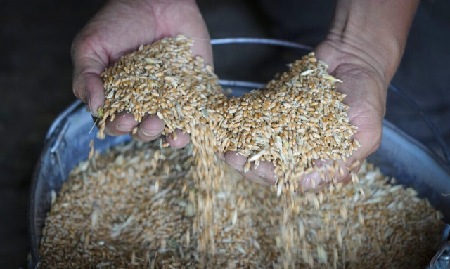 Ουκρανία: Σήμερα ενδέχεται να αποπλεύσουν τα πρώτα πλοία με ουκρανικά σιτηρά