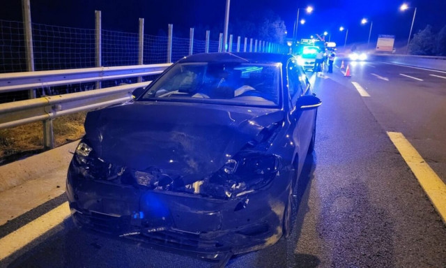 Εγνατία Οδός: Τροχαίο ατύχημα με αρκούδα και διερχόμενο όχημα