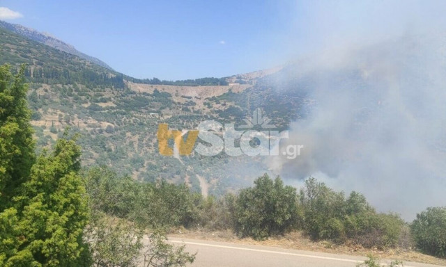 Σε εξέλιξη η μεγάλη φωτιά στο Δίστομο Βοιωτίας - Επιχειρούν ενάερια μέσα