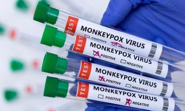 Ευλογιά πιθήκων: Πότε θα φθάσουν στην Κύπρο τα εμβόλια