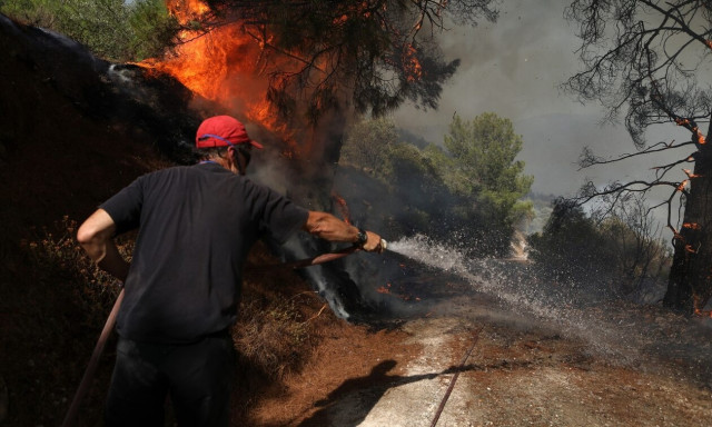 Φωτιά τώρα στο Δίστομο Βοιωτίας - Στη «μάχη» και εναέριες δυνάμεις