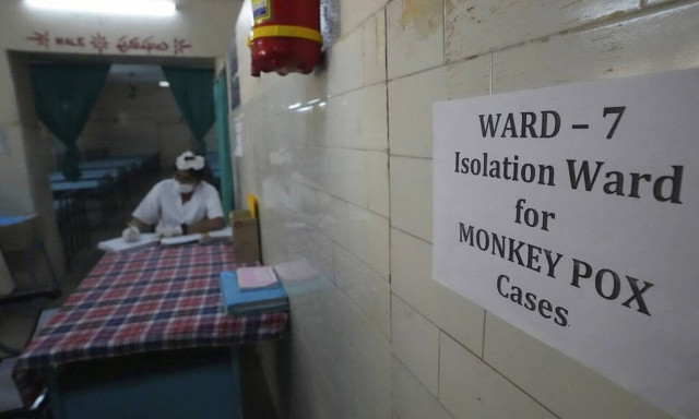 ΠΟΥ: Η Ευρώπη περιμένει αύξηση των θανάτων που έχουν σχέση με την ευλογιά των πιθήκων