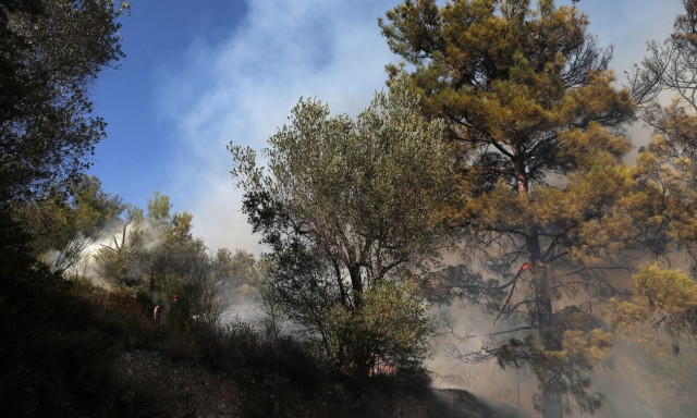 Φωτιά στο Λασίθι: Η ομολογία του κατηγορούμενου για εμπρησμό - Διαφορές με τον ιδιοκτήτη καφενείου