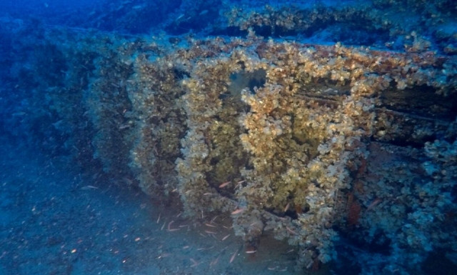 Αιγαίο: Στο φως άγνωστο ναυάγιο δυτικά της Κύθνου - Δείτε εντυπωσιακές εικόνες