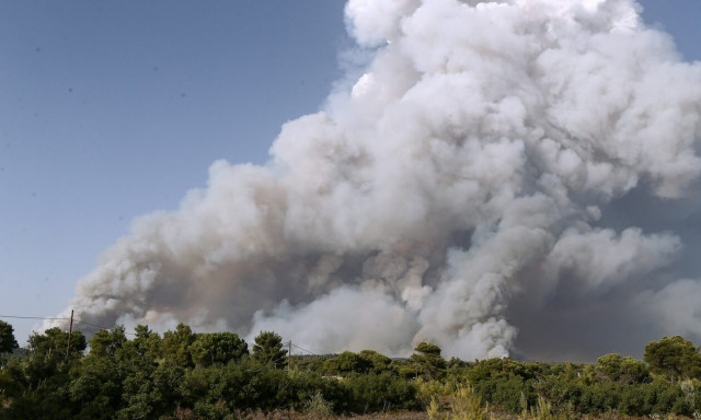 Φωτιά σε εξέλιξη στο Σέλινο Χανίων - Οι φλόγες καίουν δασική δύσβατη έκταση